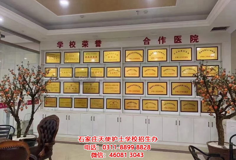 石家莊天使護士學校新校區榮譽墻
