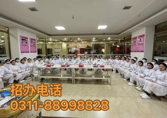 石家莊天使護士學校管分配嗎