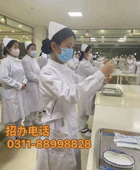 石家莊天使護士學校2026年春季招生專業