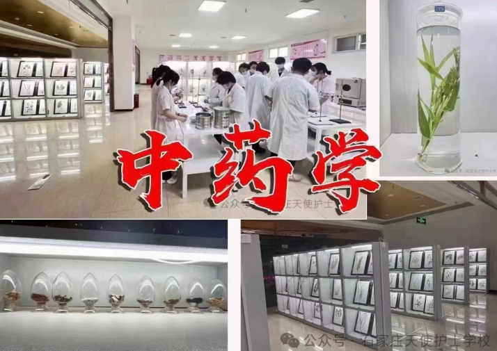 QQ截圖20240614094419.png QQ截圖20240614094419.png