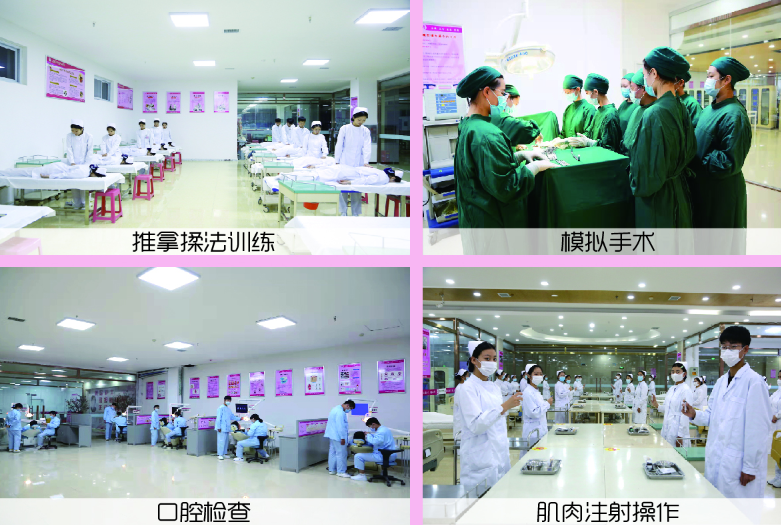 石家莊天使護士學校2026年報名條件、招生要求